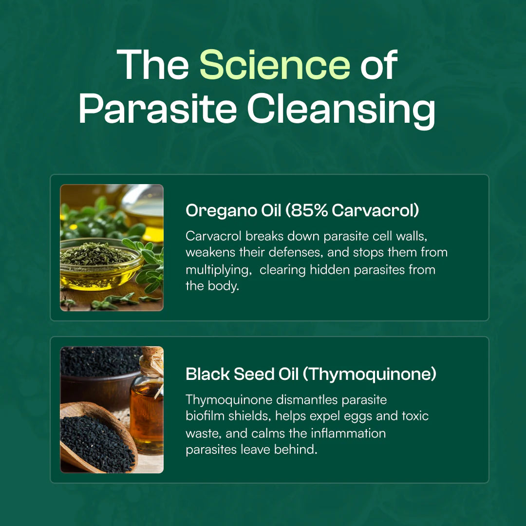 Oil Of Oregano Softgels - Purevia Nutrition